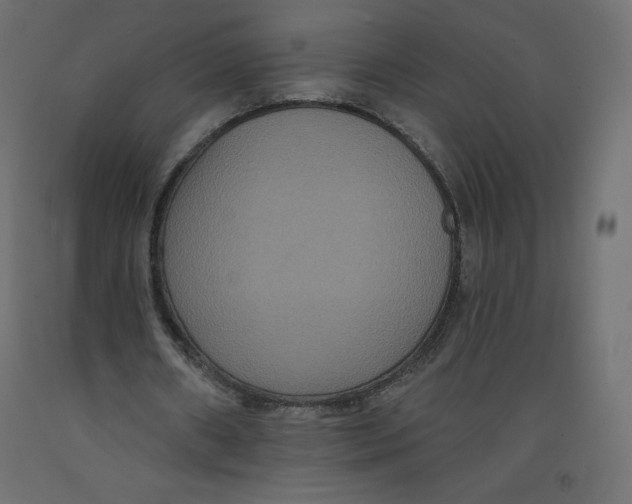 X0000092320482200710121525