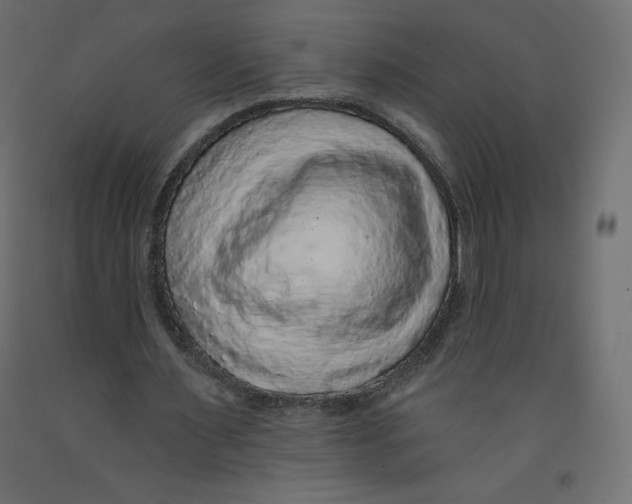 X0000092320483200710121525