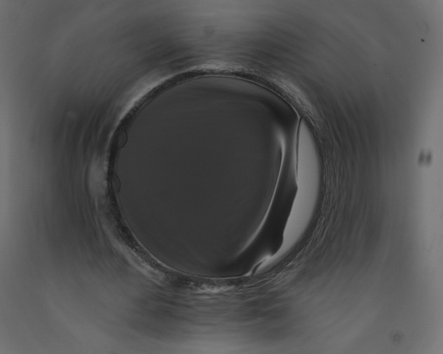 X0000092320484200710121525