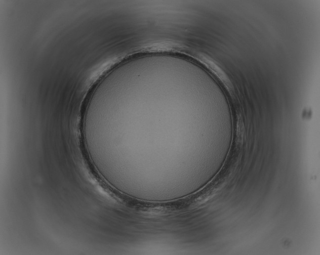 X0000092320485200710121525