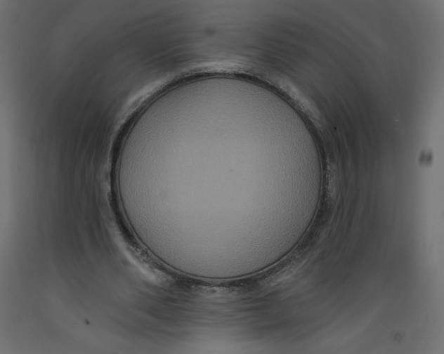 X0000092320486200710121525