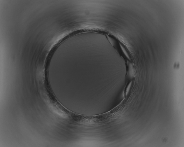 X0000092320488200710121525