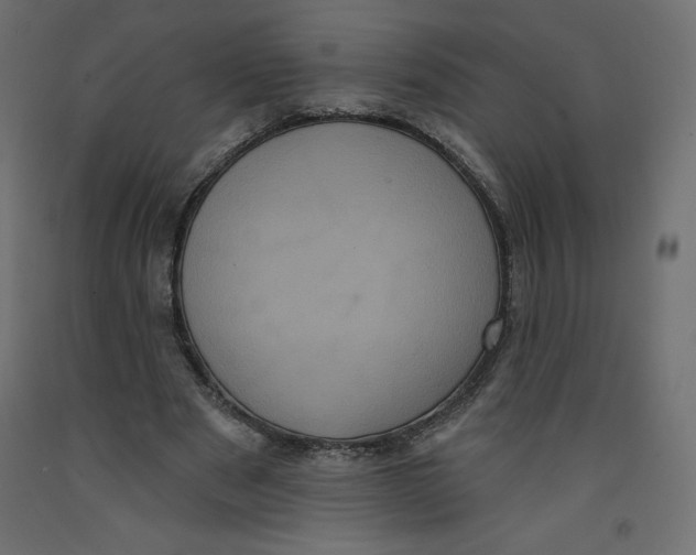 X0000092320489200710121525