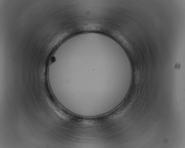 X0000092320490200710121525