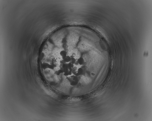 X0000092320491200710121525