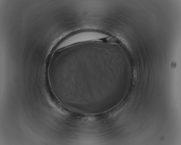 X0000092320492200710121525