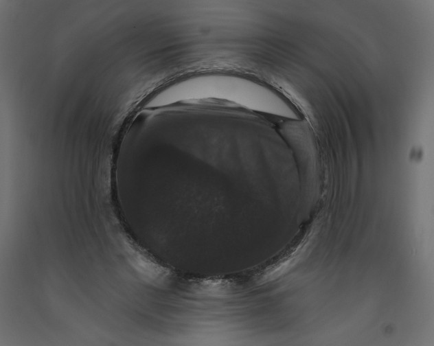 X0000092320493200710121525