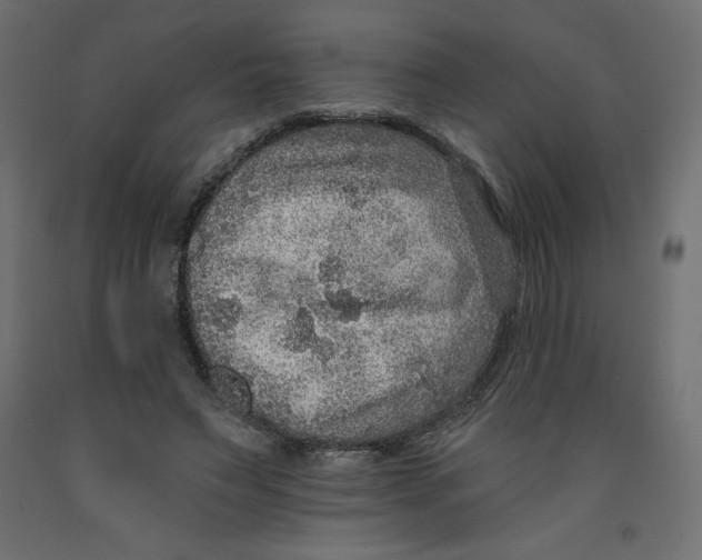 X0000092320495200710121525