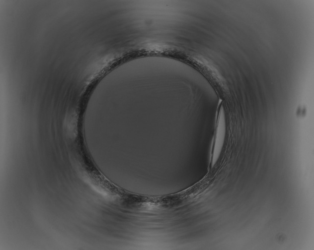 X0000092320496200710121525