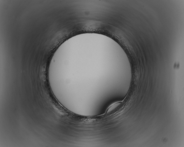 X0000092320497200710121525
