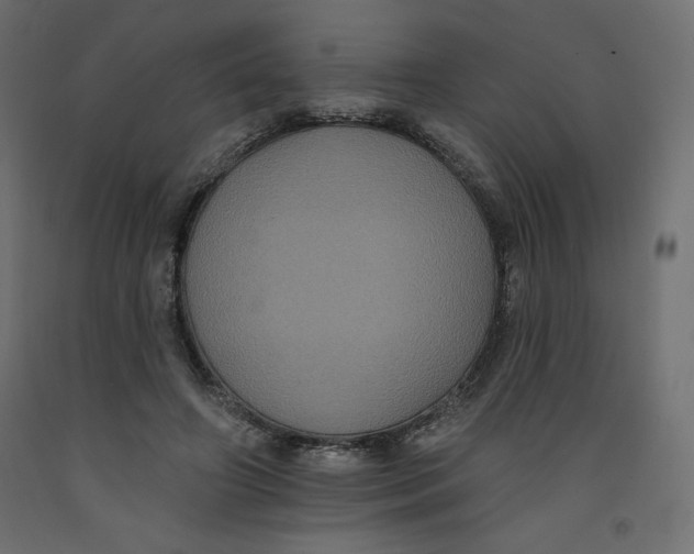 X0000092320498200710121525