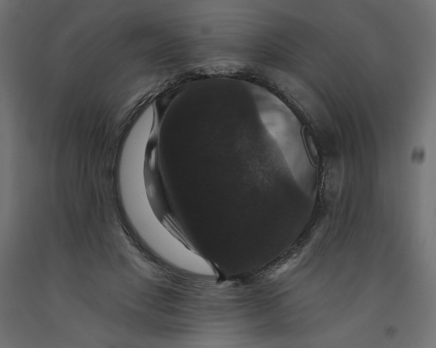 X0000092320501200710121525