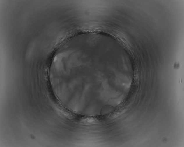 X0000092320503200710121525