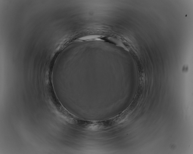X0000092320504200710121525