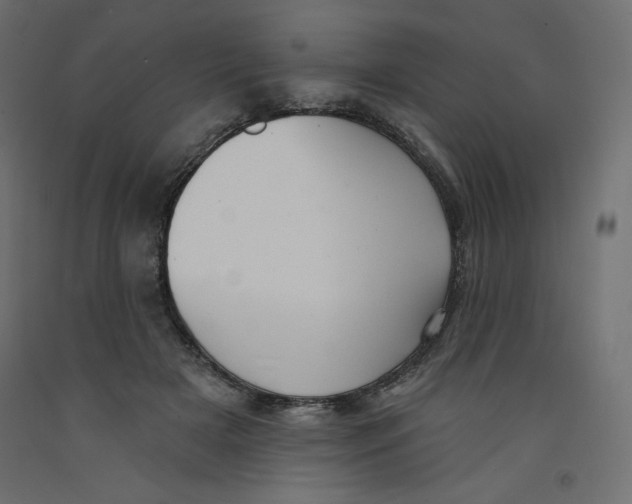 X0000092320505200710121525