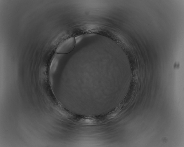 X0000092320506200710121525