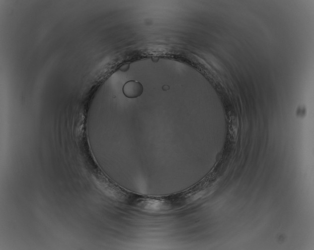 X0000092320507200710121525