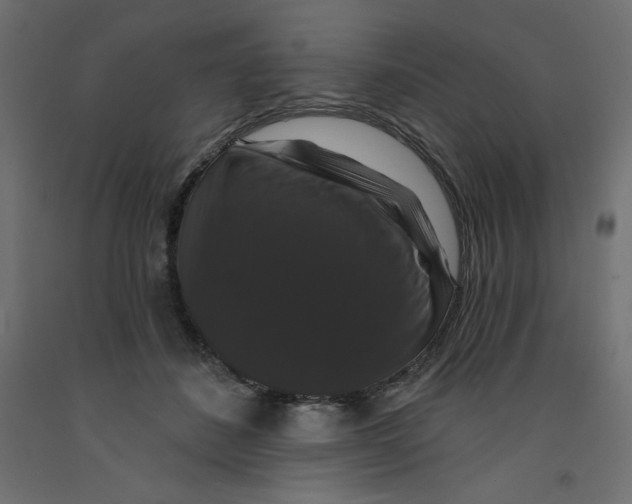 X0000092320508200710121525