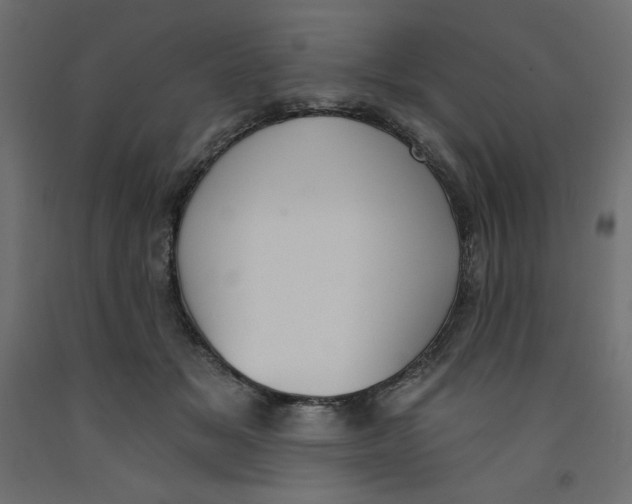 X0000092320509200710121525