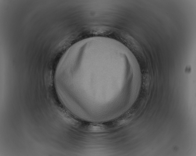 X0000092320510200710121525