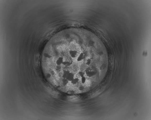 X0000092320511200710121525