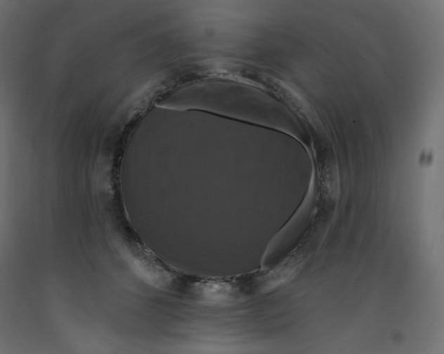 X0000092320512200710121525