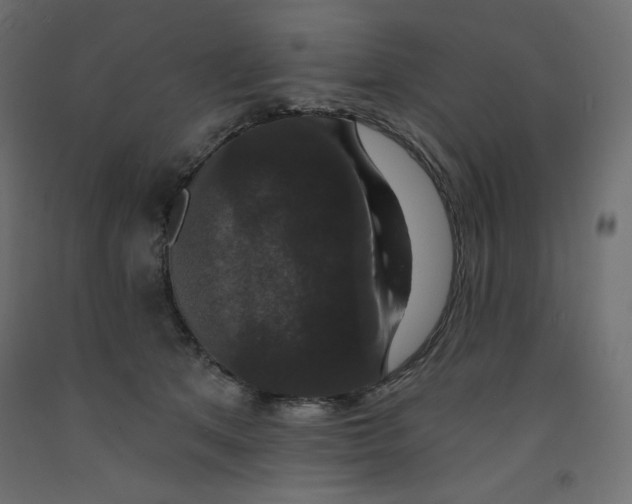 X0000092320513200710121525