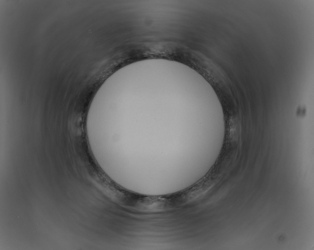 X0000092320514200710121525