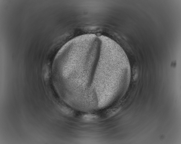 X0000092320515200710121525