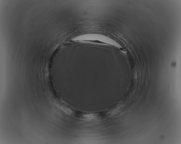 X0000092320516200710121525