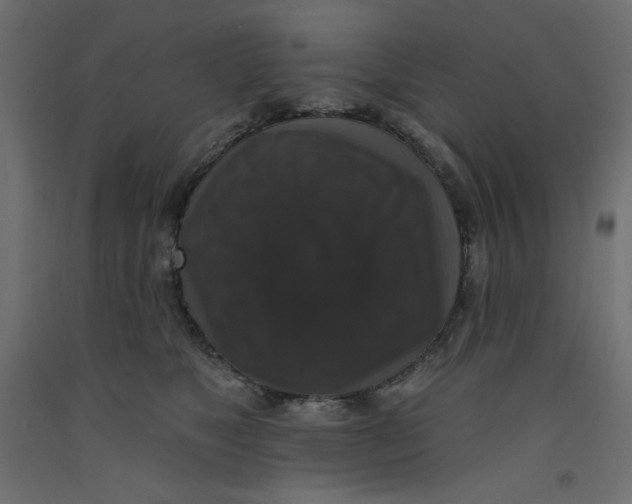 X0000092320517200710121525