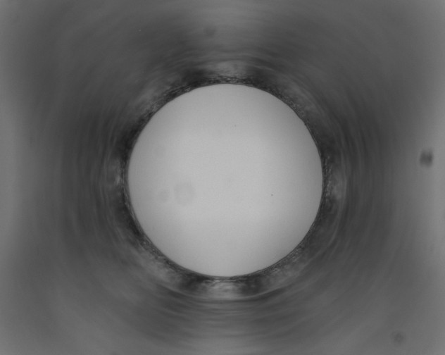 X0000092320518200710121525