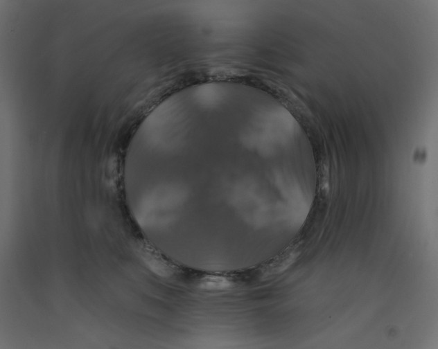 X0000092320519200710121525