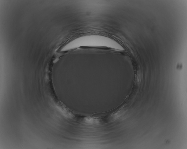 X0000092320520200710121525