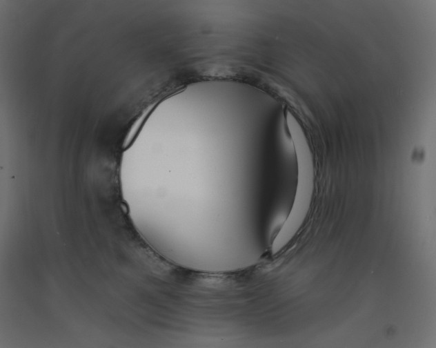 X0000092320521200710121525