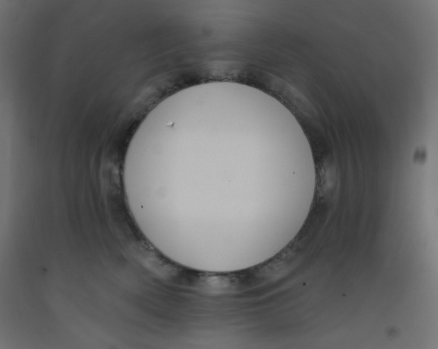 X0000092320522200710121525