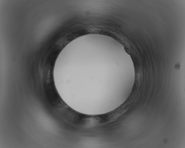 X0000092320525200710121525