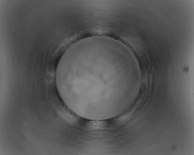 X0000092320526200710121525