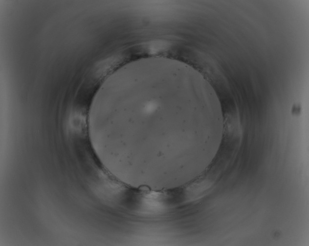 X0000092320527200710121525
