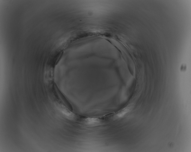 X0000092320528200710121525