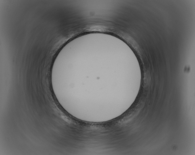 X0000092320529200710121524