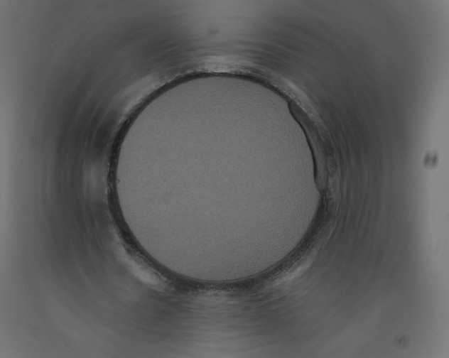 X0000092320530200710121524