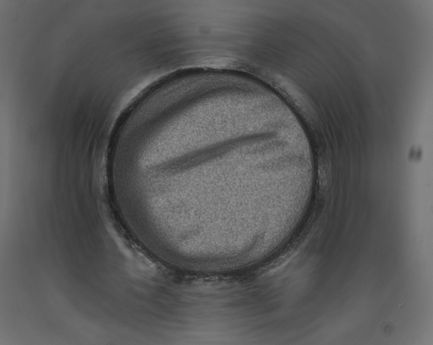 X0000092320532200710121524