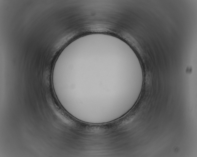 X0000092320533200710121524