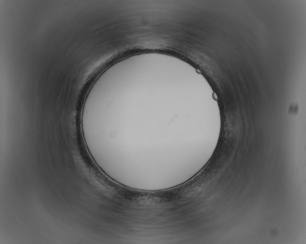 X0000092320535200710121524