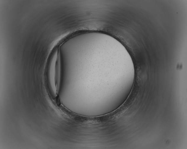 X0000092320536200710121524