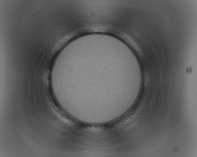 X0000092320537200710121524