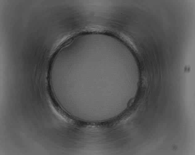 X0000092320538200710121524
