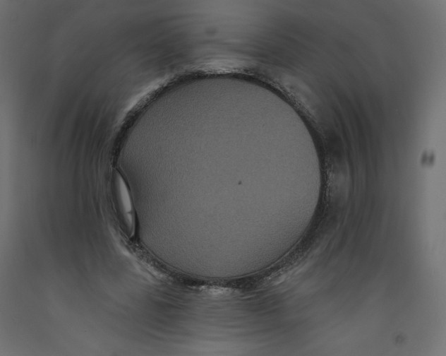 X0000092320539200710121524