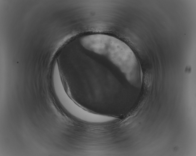 X0000092320540200710121524
